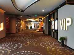 -万达影城(汉街万达广场IMAX店)