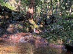 -东天目山风景区
