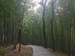 -西湖风景区十里琅珰-五云山