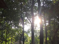 -天门沟九州驿站树上汤泉