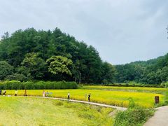 -韶山毛泽东同志故居