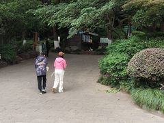 -杭州半山国家森林公园