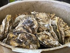 -蚝山·喷汽火山生蚝(前福路店)