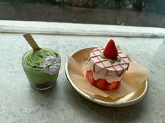草莓春风-野草莓自由市场