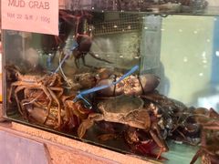 -真浪大家乐海鲜餐馆