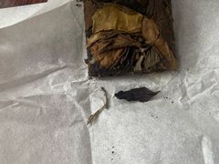 -上海衡山路十二号华邑酒店
