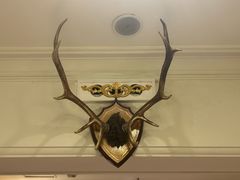 -塔道斯西餐厅(中央大街店)