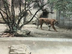 -成都动物园