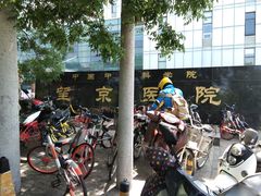 -中国中医科学院望京医院(院本部)