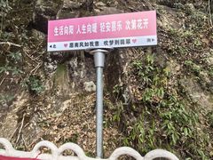 -黄山翡翠谷景区