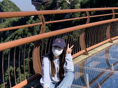 -少华山国家森林公园
