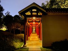 -顺峰山公园