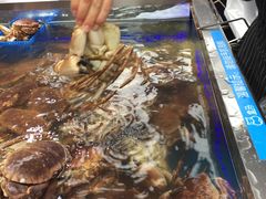 -盒马鲜生(大成店)