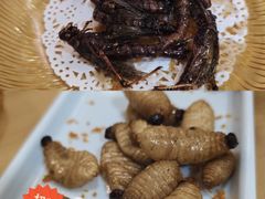 -了能菜·传统特色粤菜·虫宴