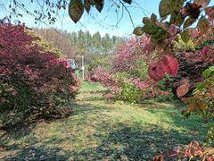 -黑龙江省森林植物园