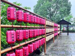 -屈原故里文化旅游区