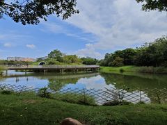 -福田红树林生态公园