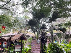 -海南热带野生动植物园