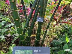 -北京植物园-展览温室