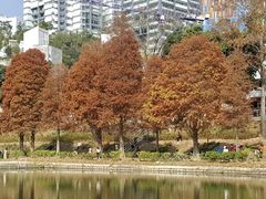 -大埔公路-马料水段香港中文大学(公交站)
