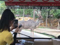 -清迈夜间动物园