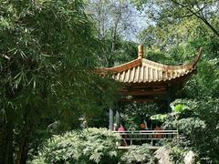 -广州兰圃