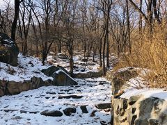 -阳台山自然风景区