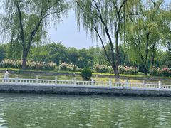 -皇家御河游(紫御湾码头)
