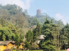 -缙云山景区