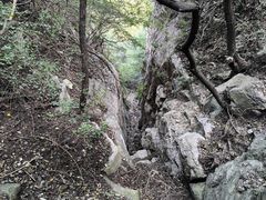 -佛慧山
