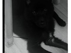 -你好独角兽·蛋糕甜品