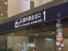 -日上免税店