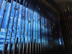 -索拉古贝(义乌北苑店)