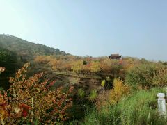 -乌素图国家森林公园