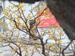 -清晏园