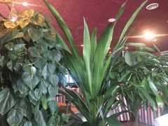 景观位-百纳·维萨吧西餐厅(百纳瑞汀酒店)