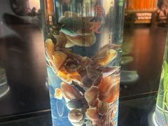 -广东中医药博物馆