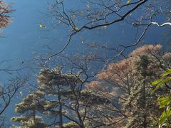 -东天目山风景区