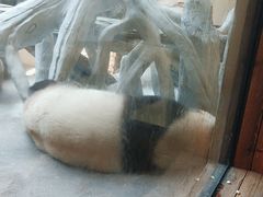 -宁波野生动物园