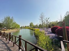 -泗洪洪泽湖湿地景区