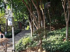 -仙岳公园