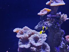 -南昌海洋公园