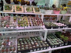 -KKV(天津津南吾悦广场店)