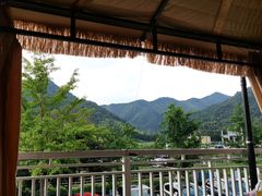-龙坞茶村