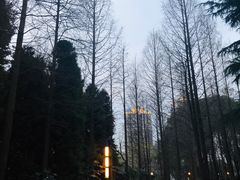 -苏州河梦清园环保主题公园