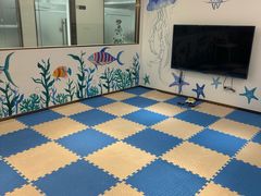 -Dr.Z dental仁康种植矫正中心