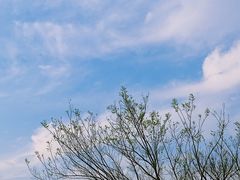 -川沙古镇-停车场