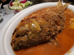 -阿五黄河大鲤鱼(英协路店)