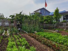 -丽泽山庄·生态怀柔菜·虹鳟鱼(红螺寺店)