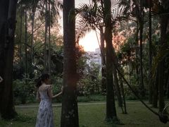 -华南国家植物园-售票处